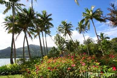 Lalati Resort & Spa 6